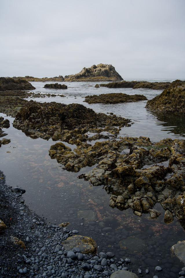 Yaquina Head Lighthouse - Tide Pools III