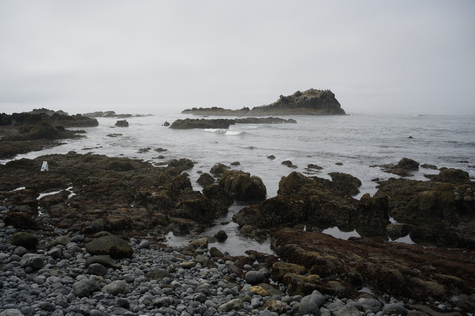 Yaquina Head Lighthouse - Tide Pools I