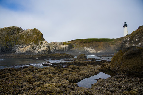Pacific Coast 2025 - Part 2 - Cape Arago to Cascade Head