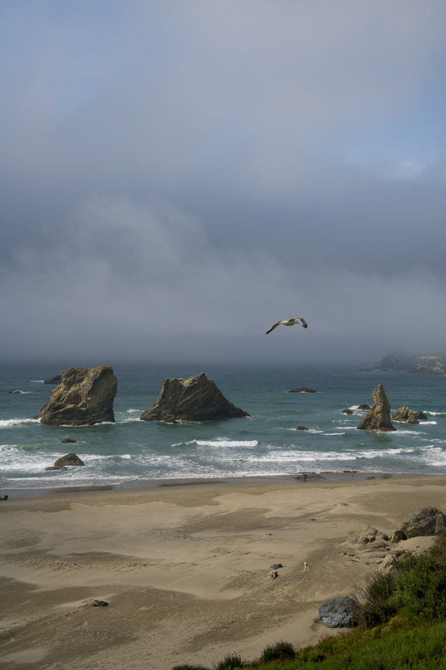 Bandon - In Flight