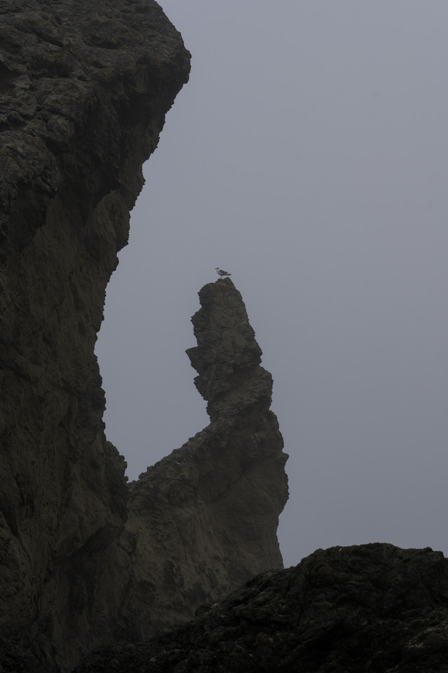 Bandon - Perched