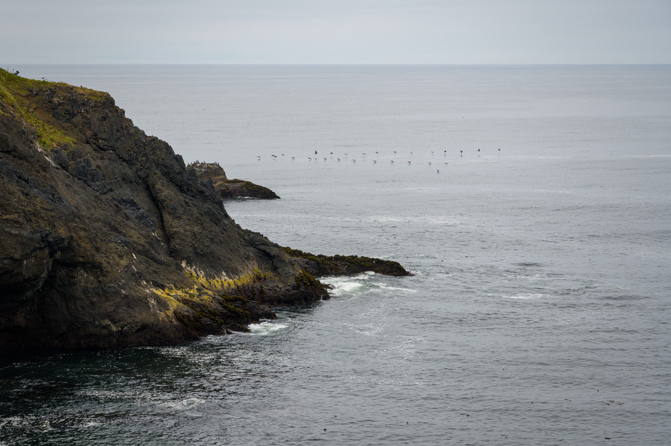 Otter Rock - Flying in Formation