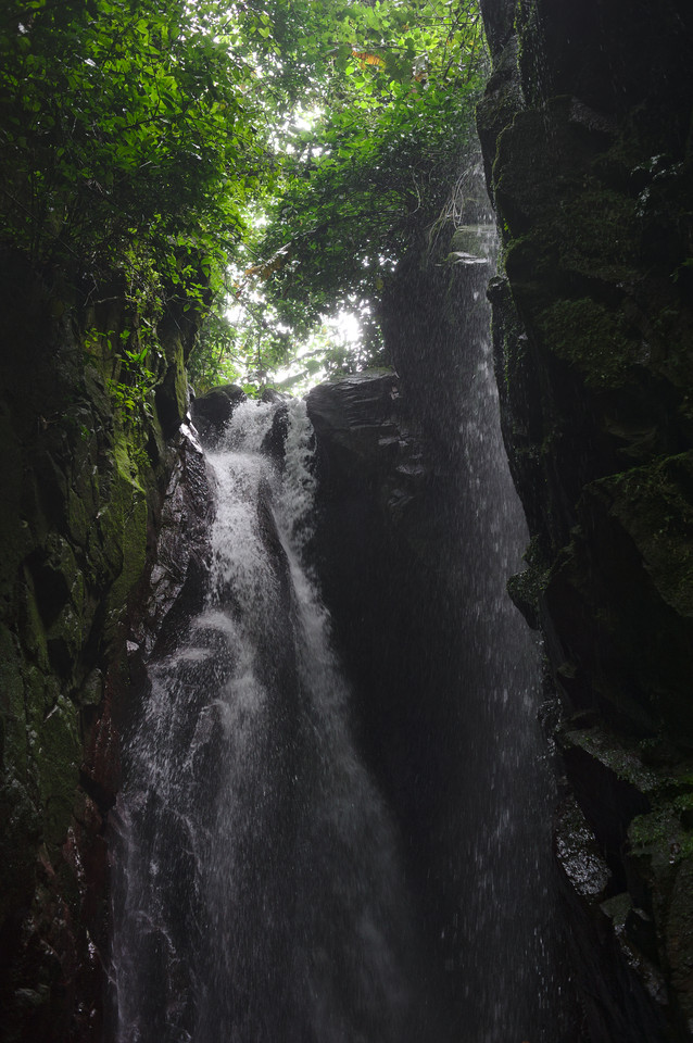 Carite Rainforest - El Salto Waterfall