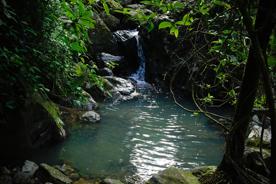 El Yunque Rainforest - Secluded Waterfall