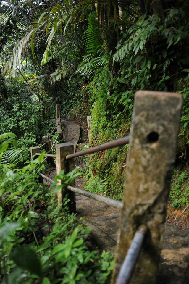 El Yunque Rainforest - Stone Steps