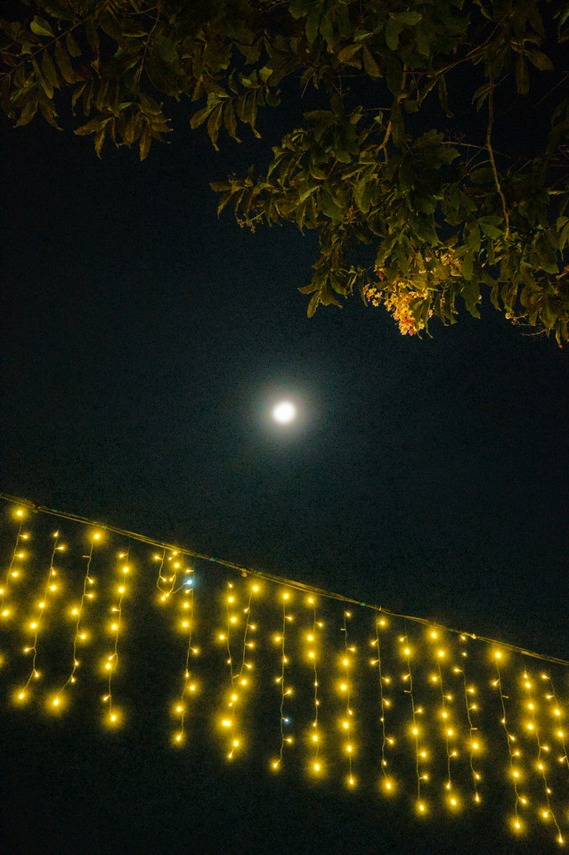 Chinatown - Nighttime Illuminations