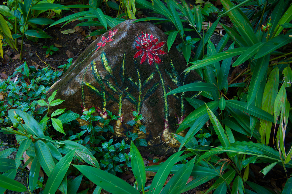 Sentosa - Painted Foliage