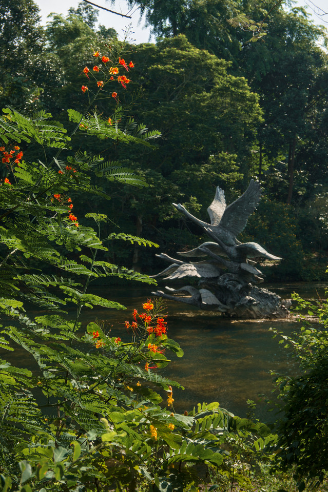 Botanic Gardens - Stone Sculptures II