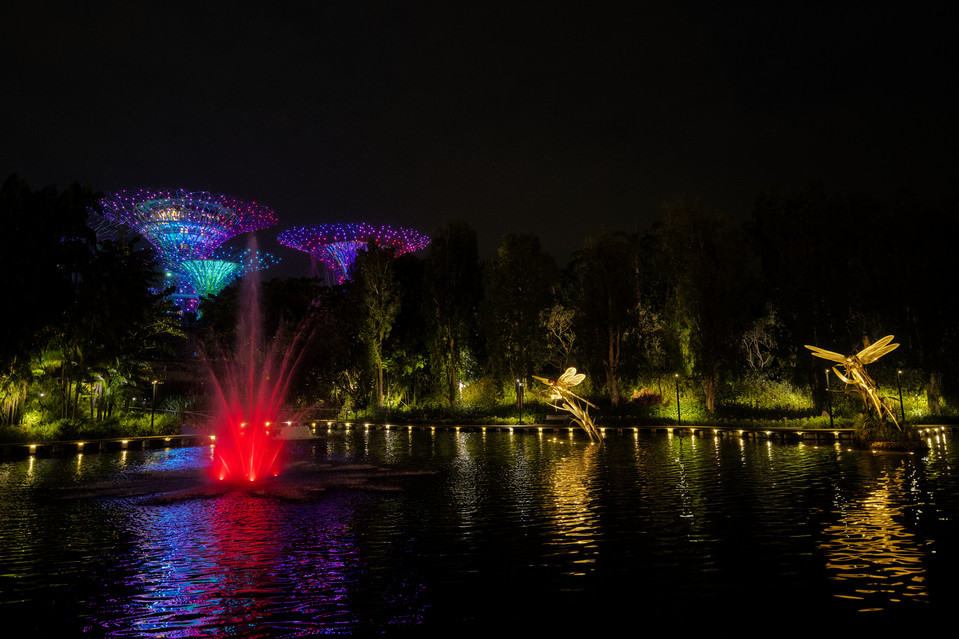 Gardens by the Bay - Illuminated Pond