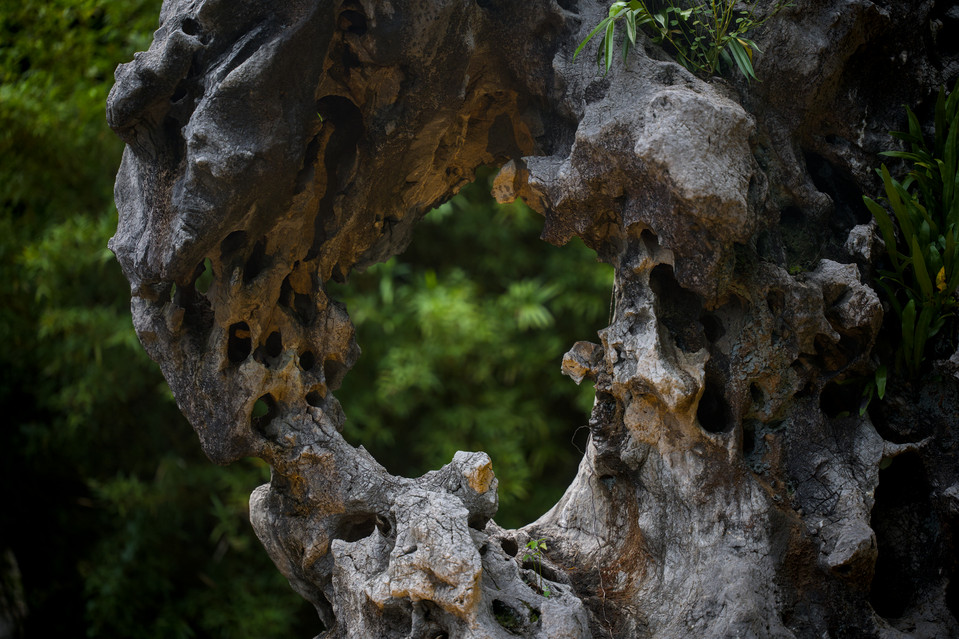 Gardens by the Bay - Rock Sculpture