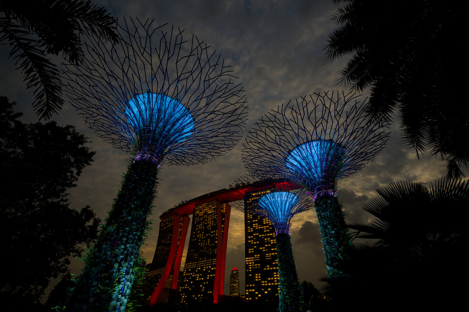 Gardens by the Bay - Supertree Grove