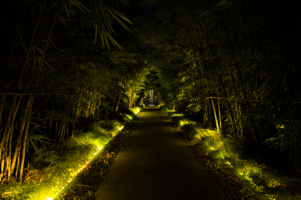 Jurong Lake Gardens - Bamboo Path