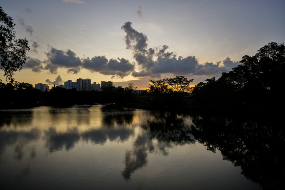 Jurong Lake Gardens - Lake Sunset I
