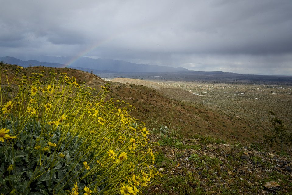 Anza-Borrego Desert - Rainbow
