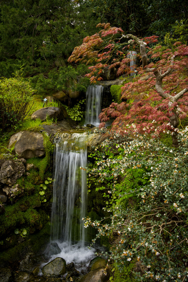 Hakone Gardens - Waterfall II