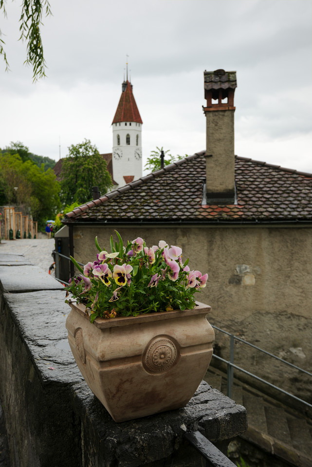 Thun - Flowers and Clocktower