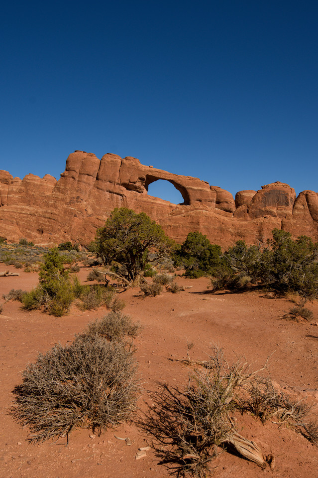 Devils Garden - Skyline Arch
