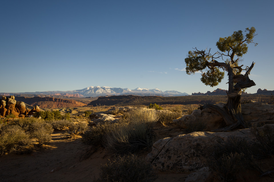 Fiery Furnace - Distant Mountains