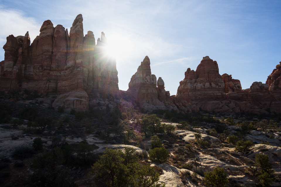 Chesler Park - Backlit Needles