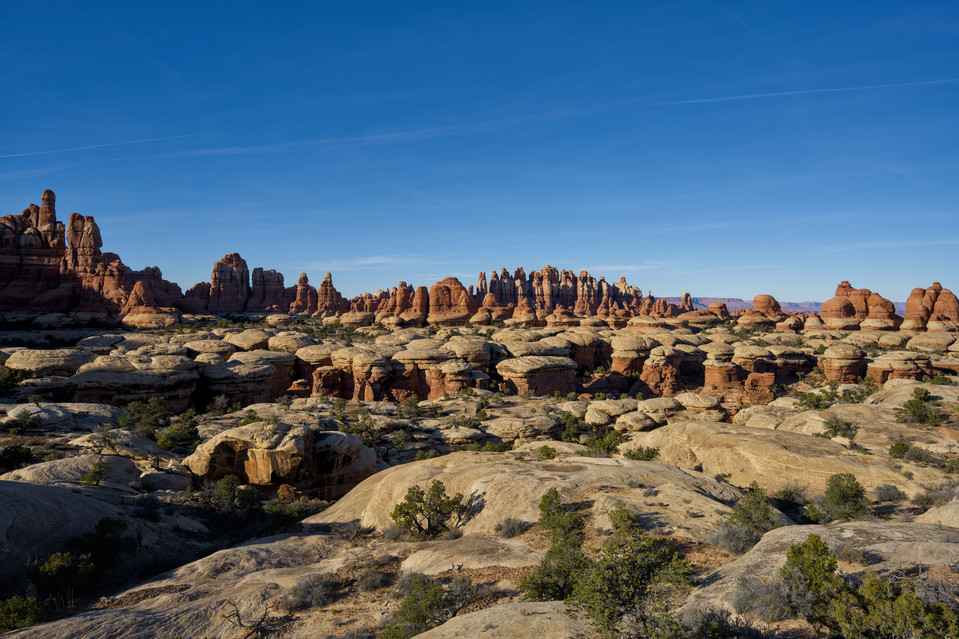 Chesler Park - Needles I