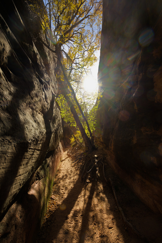 Chesler Park - Slot Canyon I