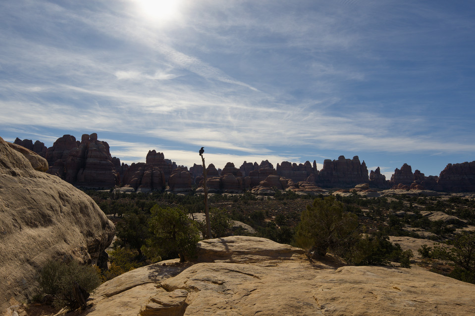 Chesler Park - Surveying the Needles