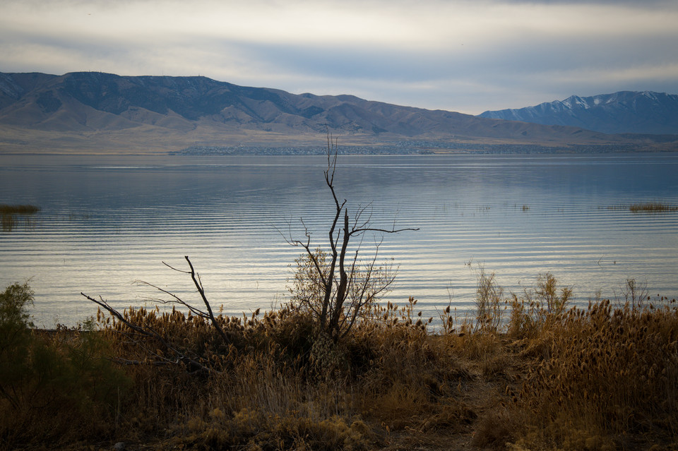 Utah Lake - Ripples