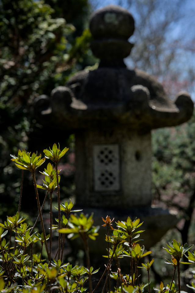 Hillwood Estate - Stone Lantern