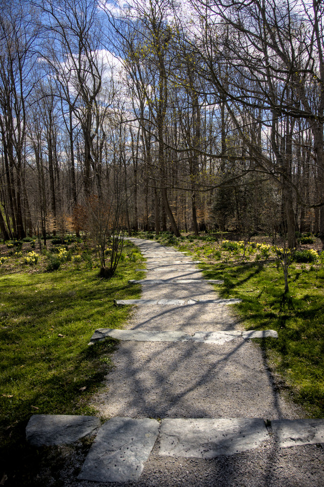 Glenstone - Wooded Path